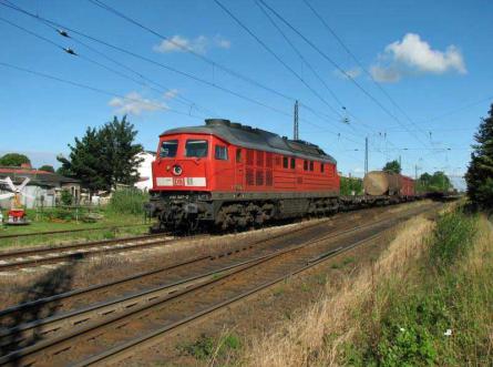 27.07.2005  in Züssow
