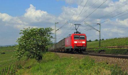 13.05.2011 bei Erbach (Rheingau)